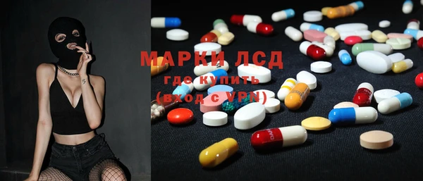 прущий лед Вяземский