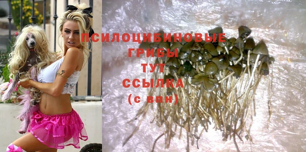 прущие крисы Вязьма