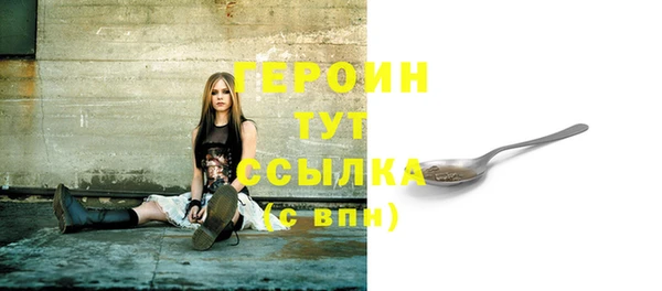 прущий лед Вяземский