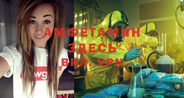 прущий лед Вяземский
