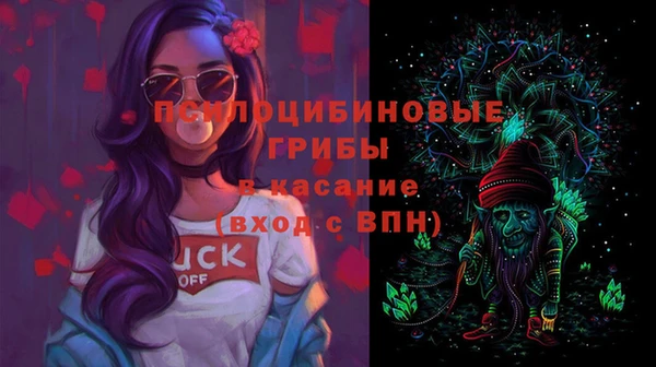 прущий лед Вяземский