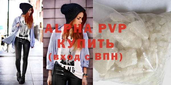 прущий лед Вяземский