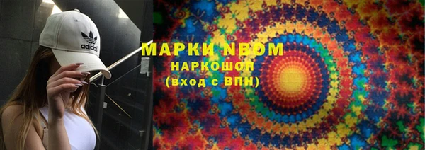 прущий лед Вяземский