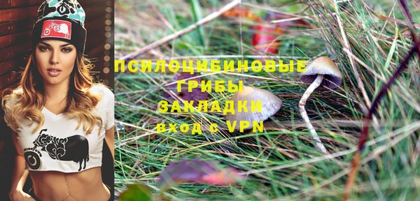 прущие крисы Вязьма