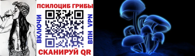 Галлюциногенные грибы Psilocybe  дарнет шоп  Меленки 
